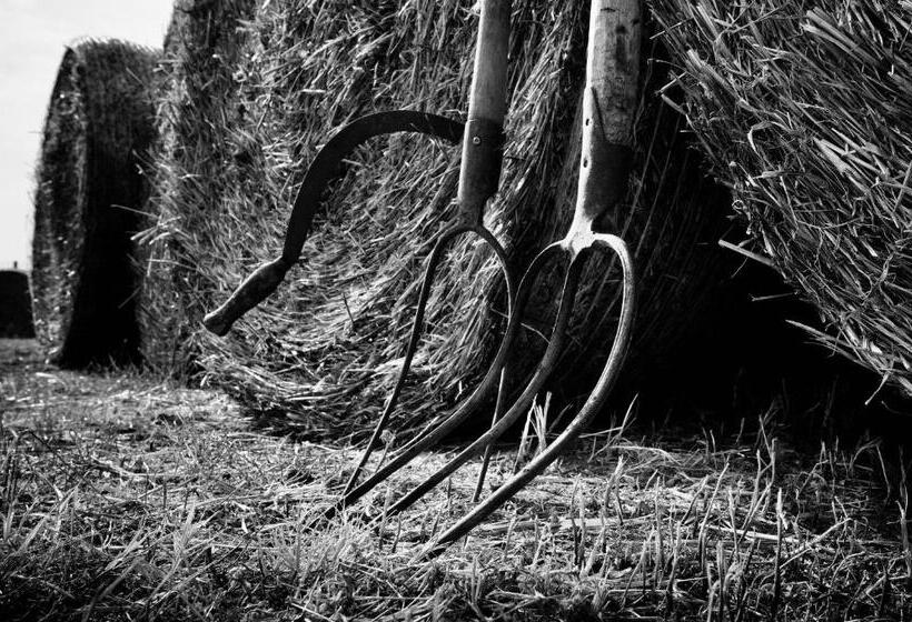 ホテル Orti Di Capalbio