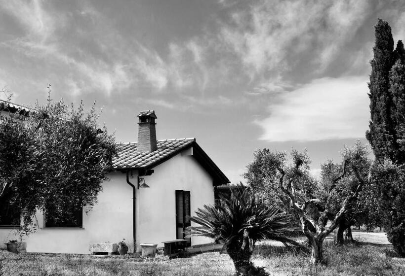 ホテル Orti Di Capalbio