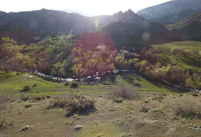 فنادق الكبسولة Ranger Campus Eco Lodge