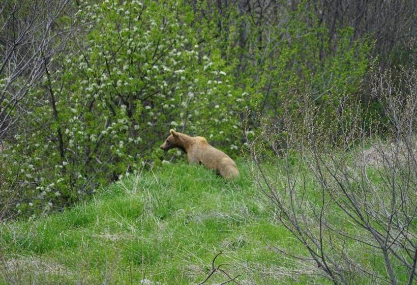 فنادق الكبسولة Ranger Campus Eco Lodge