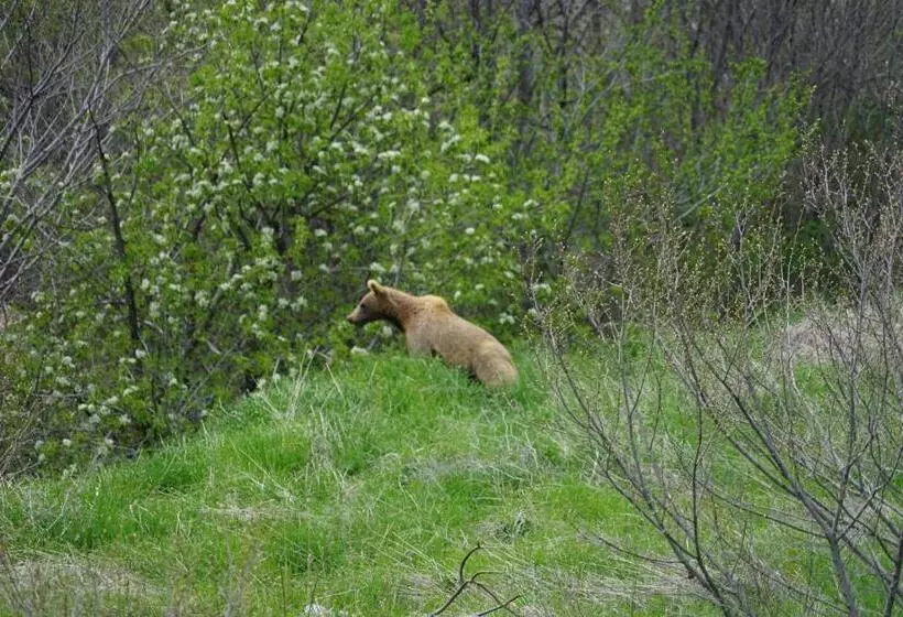 Kapselihotelli Ranger Campus Eco Lodge
