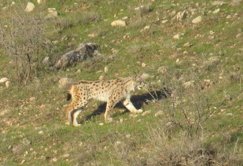 فنادق الكبسولة Ranger Campus Eco Lodge