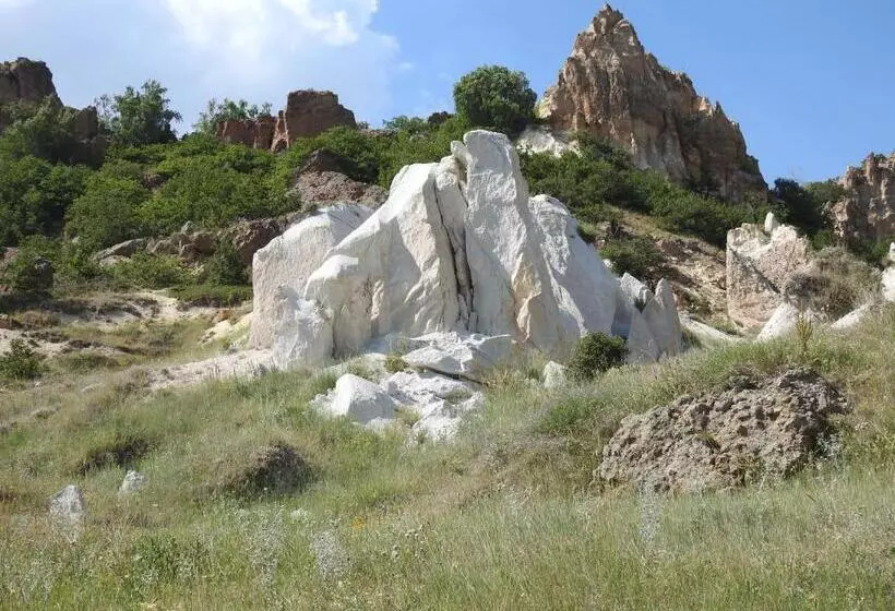 Kapselihotelli Ranger Campus Eco Lodge