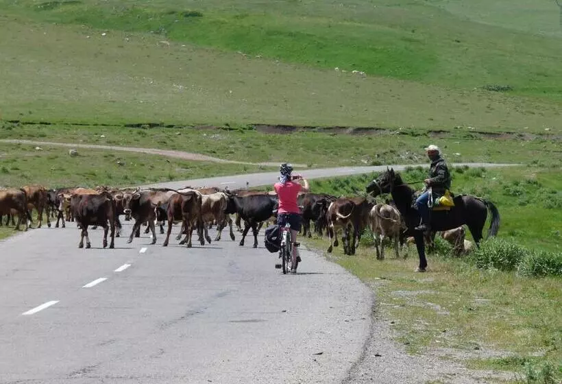 Kapselihotelli Ranger Campus Eco Lodge