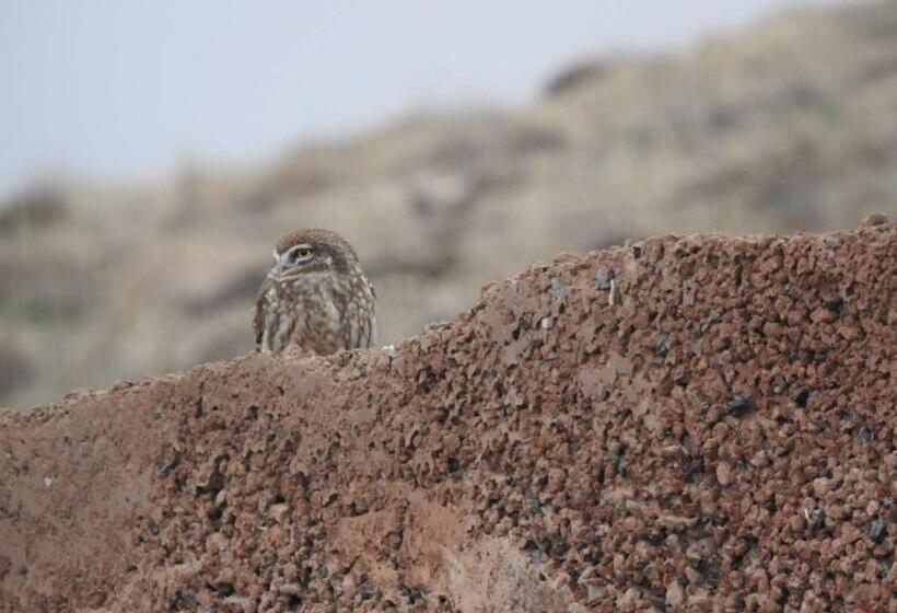 فنادق الكبسولة Ranger Campus Eco Lodge