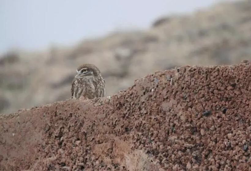 Kapselihotelli Ranger Campus Eco Lodge