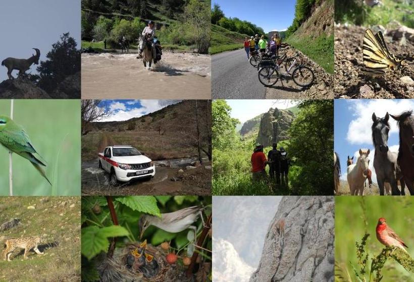 فنادق الكبسولة Ranger Campus Eco Lodge