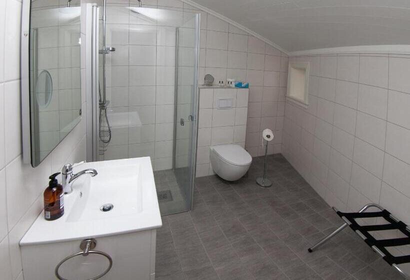 Пансион Holsthuset Losji