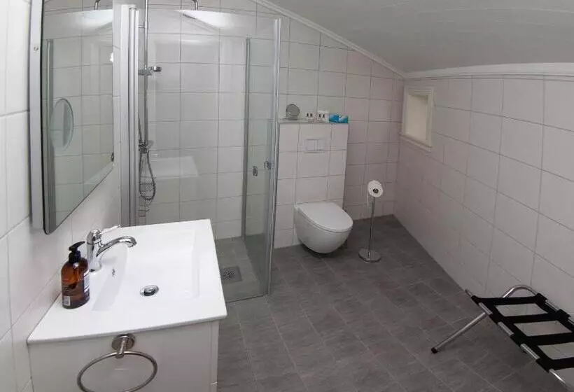 ペンション Holsthuset Losji