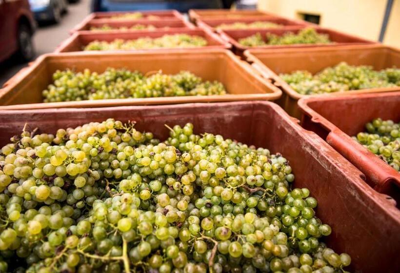 ペンション Pumpion