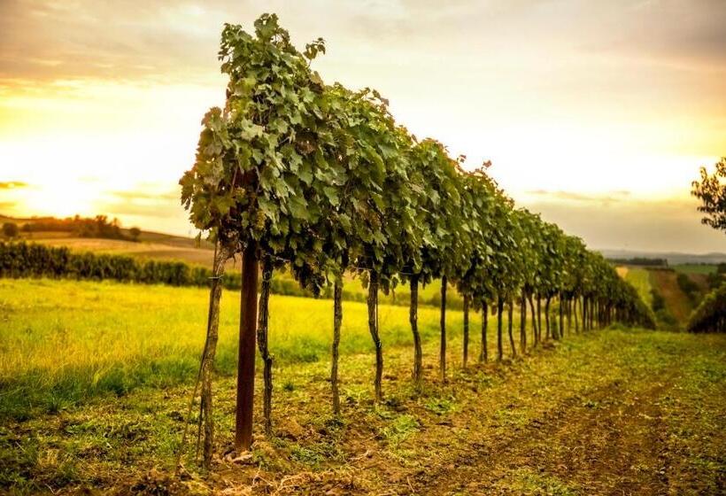 ペンション Pumpion