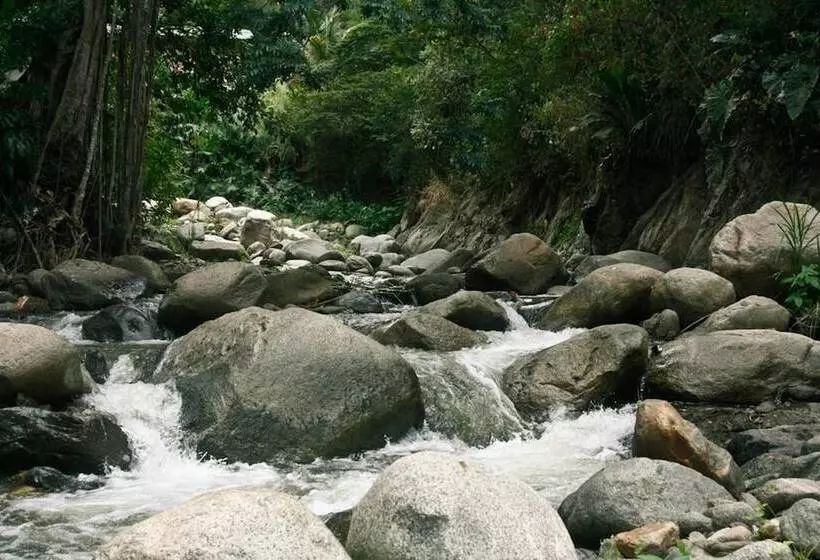 ユースホステル Rio Escondido