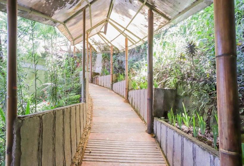 Hôtel Oyo 917 Cansebu Amazing Camp & Resort