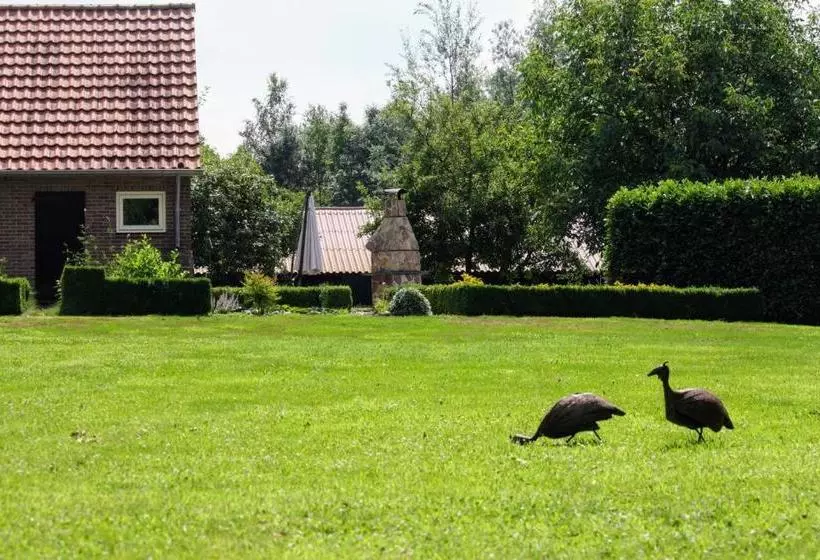 B&b Ruurlo Belle Rose