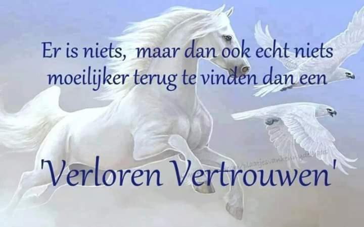 B&b Ruurlo Belle Rose