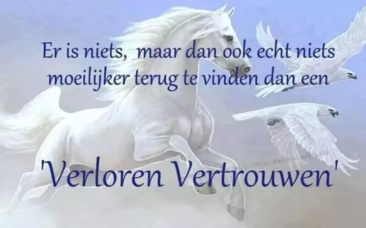 B&b Ruurlo Belle Rose