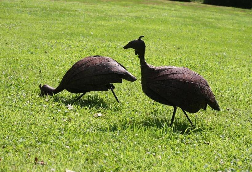 B&b Ruurlo Belle Rose