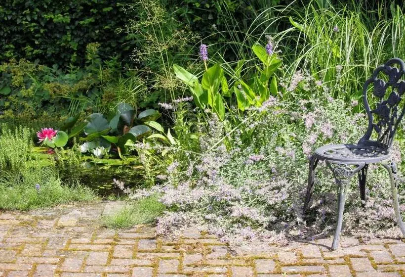 B&b Ruurlo Belle Rose