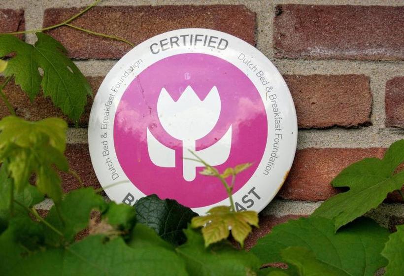 B&b Ruurlo Belle Rose