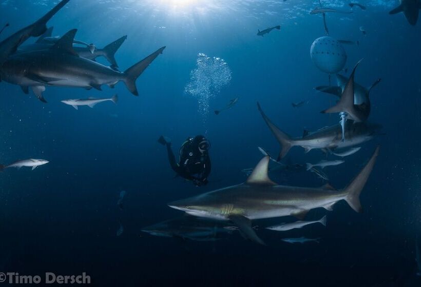 فندق صغير Umkomaas Lodge