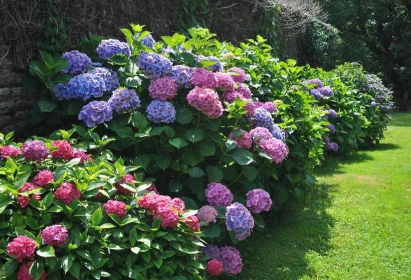 פנסיון Ti Gwenn