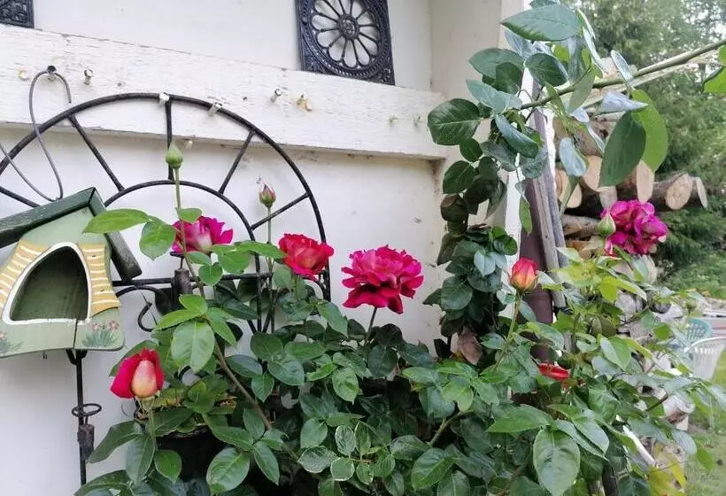 Majatalo Villa Viriditas