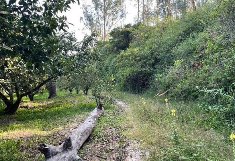 Quito Airport Suites Hotel