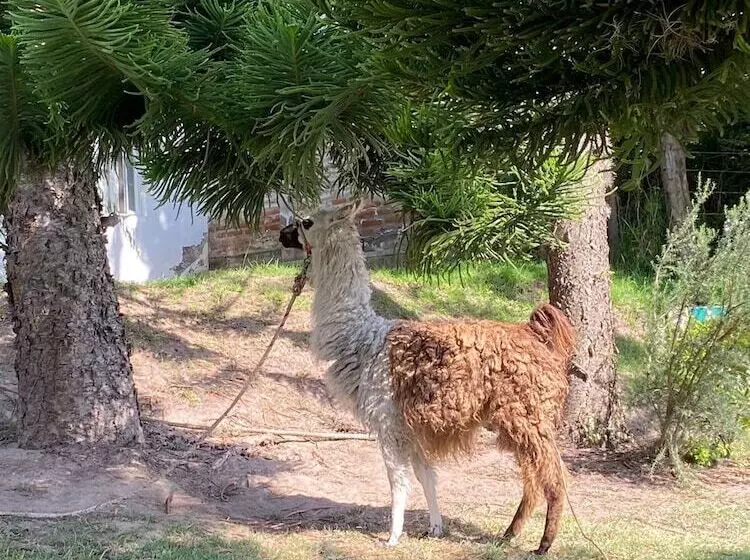 Quito Airport Suites Hotel