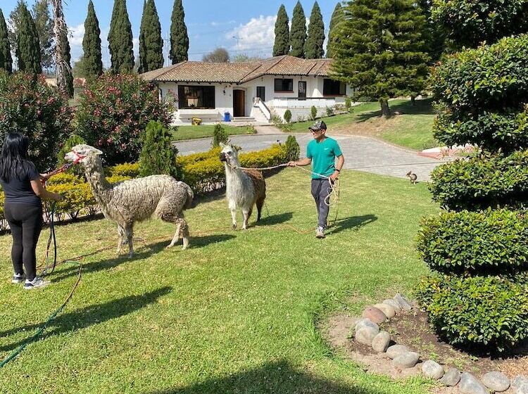 Quito Airport Suites Hotel