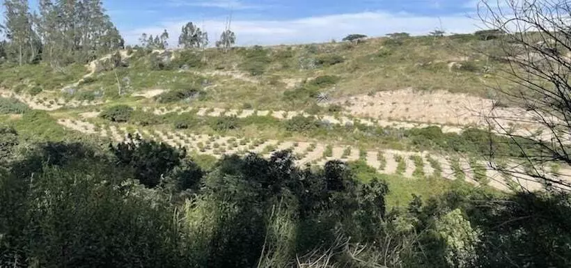 Quito Airport Suites Hotel