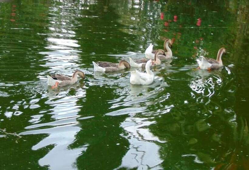 Quito Airport Suites Hotel