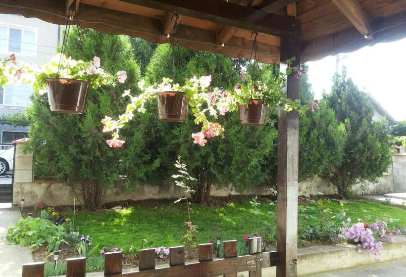 پانسیون Guesthause Pri Vasko