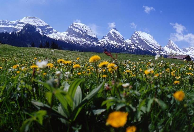 فندق صغير Berggasthaus Oberdorf