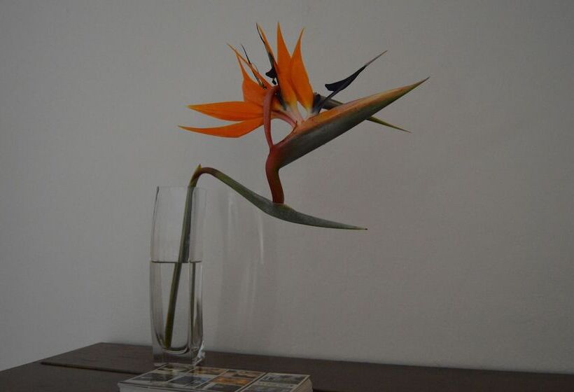 پانسیون Lu S Guest House