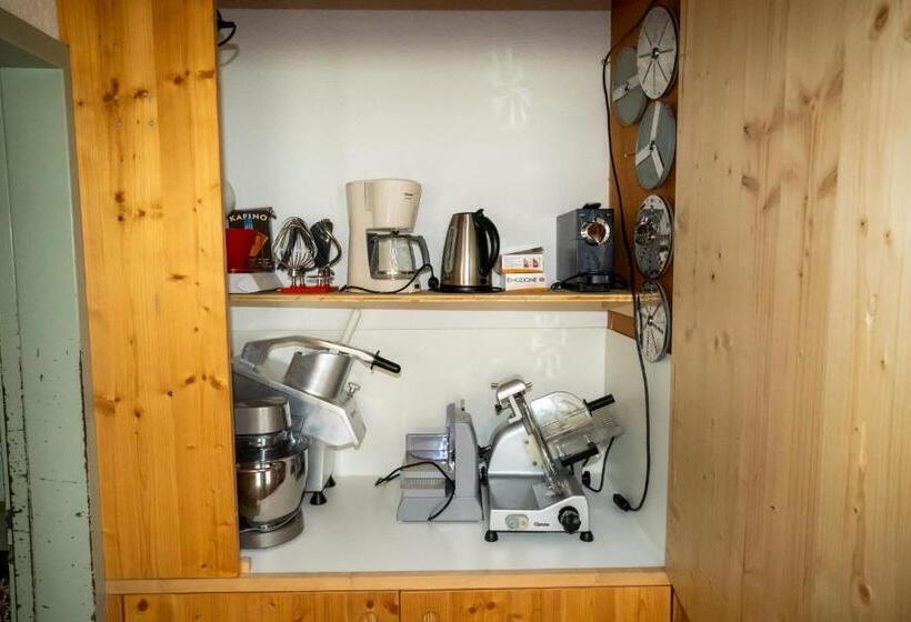 ペンション Pensiun Lischana