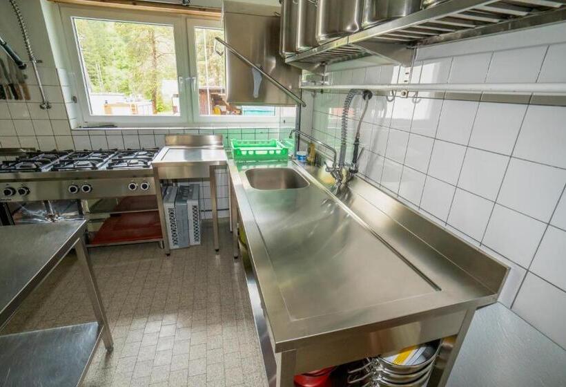 ペンション Pensiun Lischana