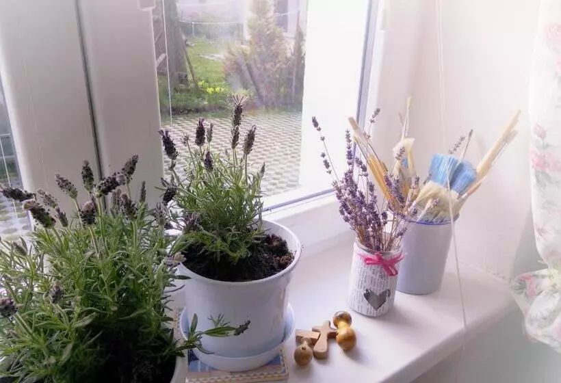 Majatalo Penzión Belvia