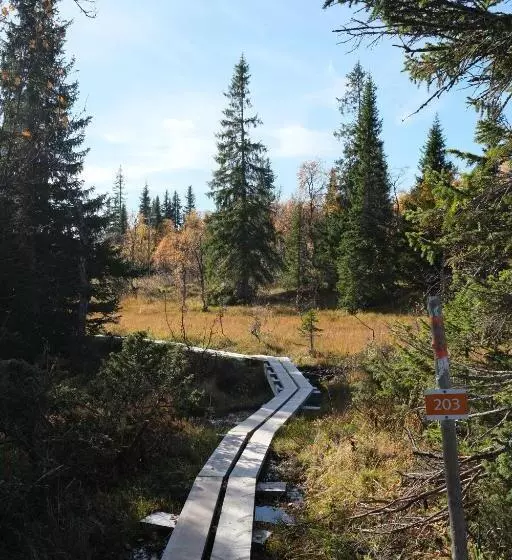 Retkeilymaja Pensionat Mullfjället