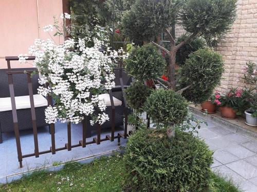 پانسیون Guest House Ivy