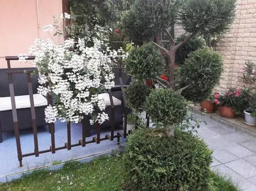 پانسیون Guest House Ivy