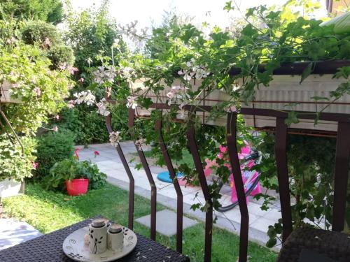 پانسیون Guest House Ivy