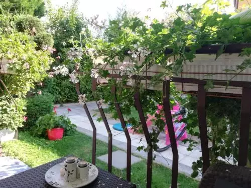 پانسیون Guest House Ivy