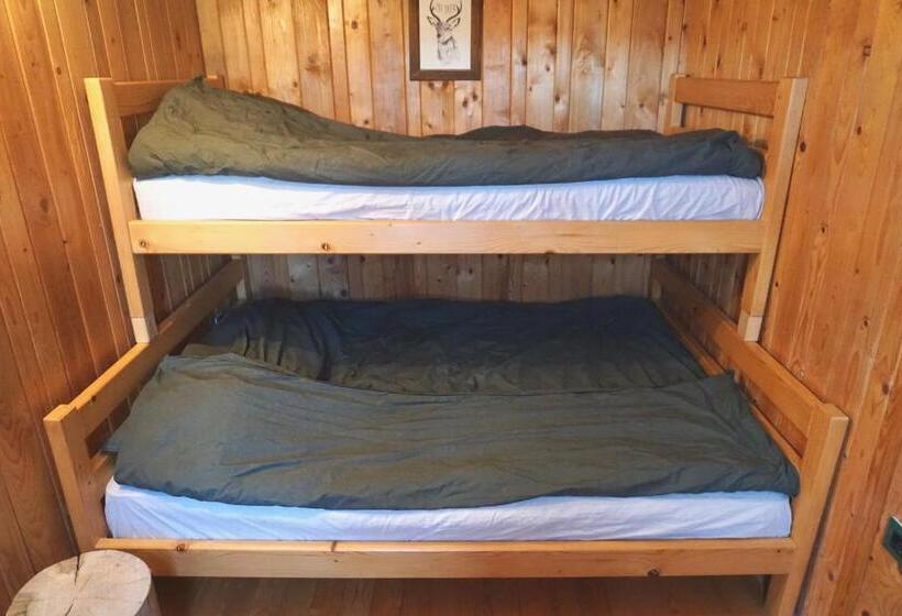 پانسیون Guest House Montana