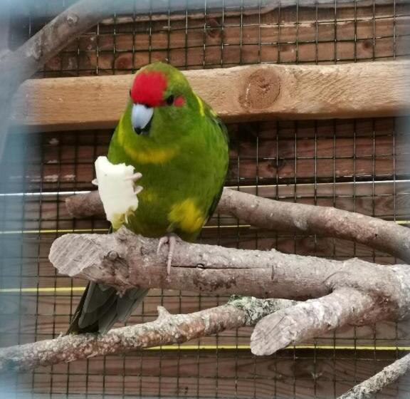 Pensión Guesthouse Eden