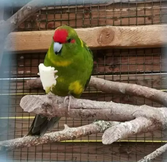 ペンション Guesthouse Eden