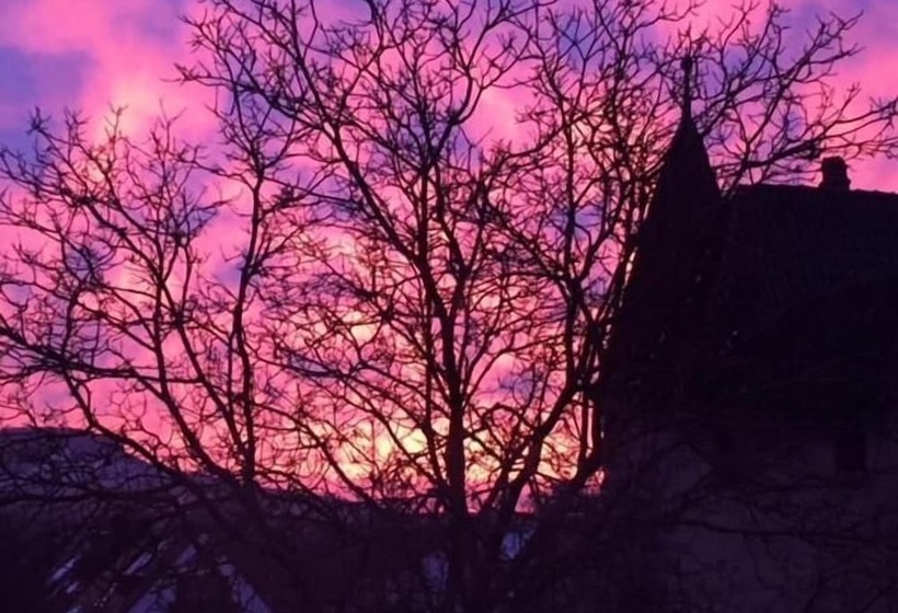 膳宿费 Weingut Gastehaus Weigand