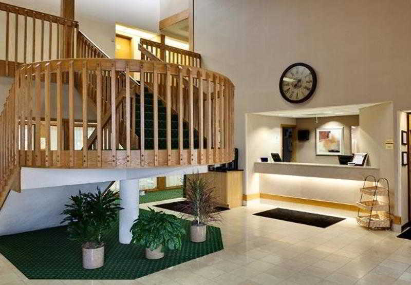 酒店 Quality Inn & Suites