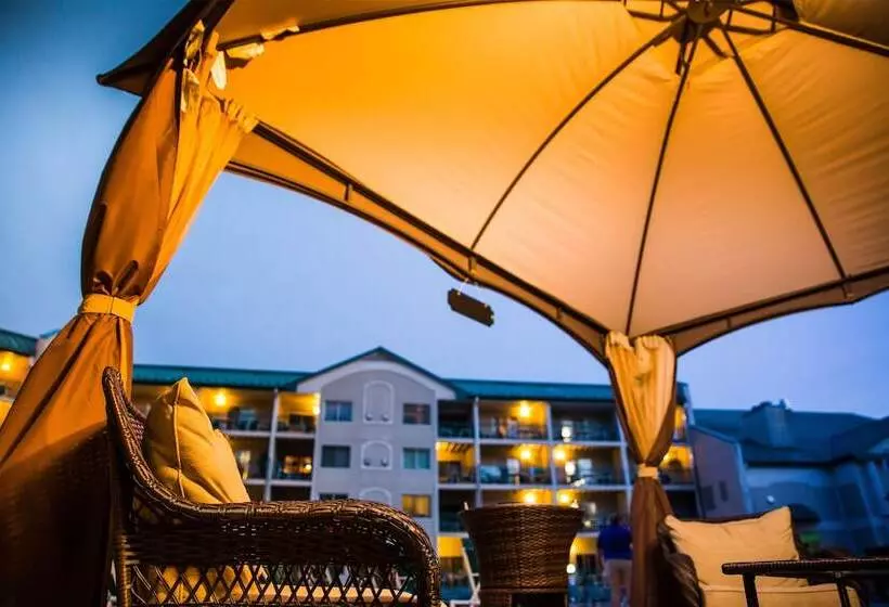 酒店 The Cove Of Lake Geneva