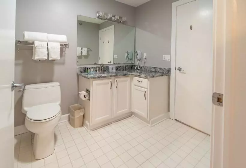 酒店 The Cove Of Lake Geneva