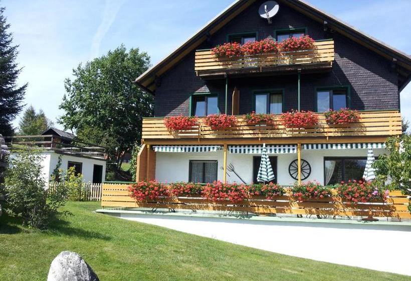 Pansiyon Schwarzwald-chalet Feldberg